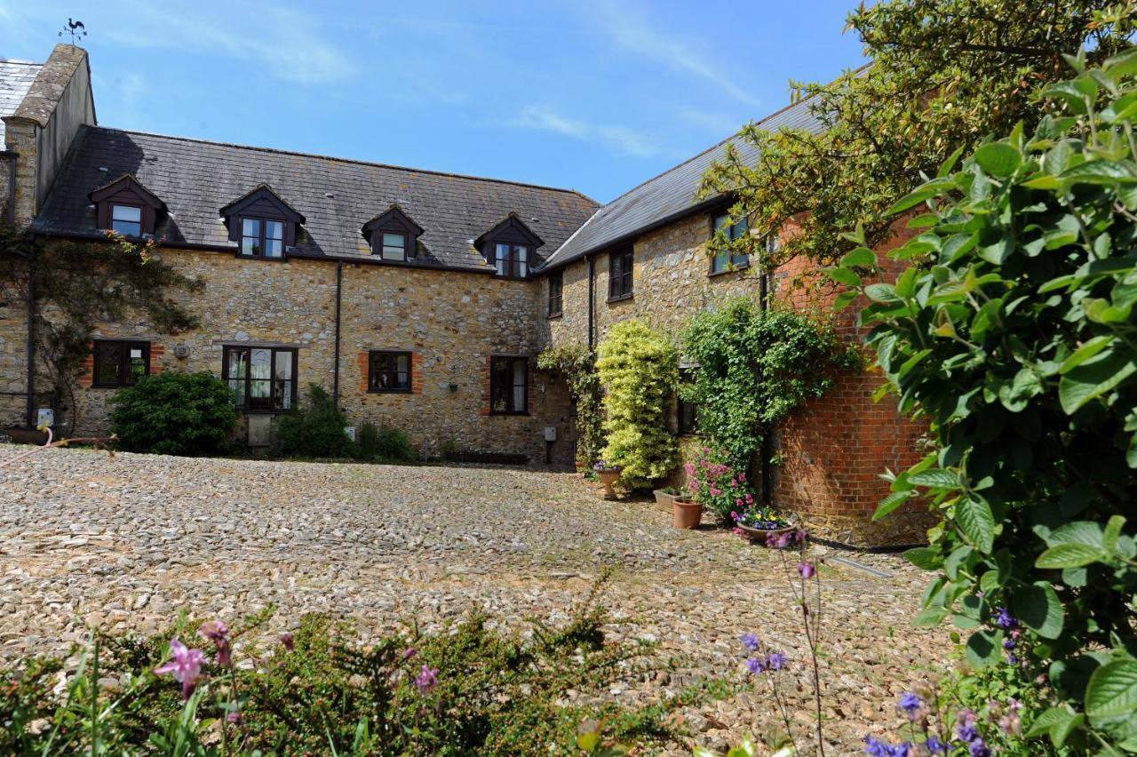 Trill Cottage Musbury Zewnętrze zdjęcie