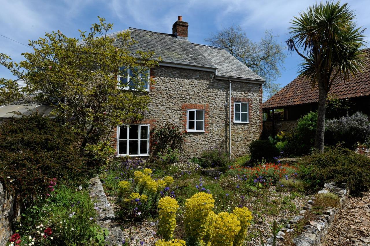 Trill Cottage Musbury Zewnętrze zdjęcie